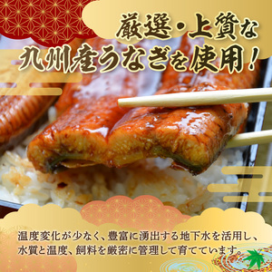 九州産うなぎ蒲焼4尾　秘伝つゆだくタレ付　中間老舗鮮魚店の味【001-0016】