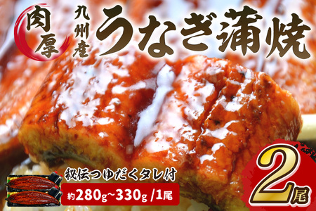 肉厚九州産うなぎ蒲焼2尾つゆだくタレ付 中間老舗鮮魚店秘伝の味【001-0017】