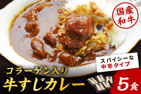 [博多和牛]ゴロッ!と入ったコラーゲン牛すじカレー5食【001-0085】