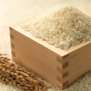 中間産米　ふるさとだより2kg×2袋 【001-0070】