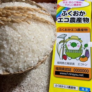 農家の直送米　ふくおかエコ農産物＜農家のお米＞10kg【007-0001】