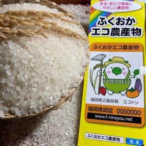 農家の直送米　ふくおかエコ農産物＜農家のお米＞6kg【007-0004】