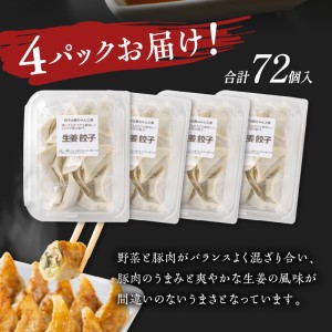 生姜餃子4パック(72個入り)【008-0002】ぎょうざ ギョウザ 餃子 羽根つき 冷凍 パック 送料無料