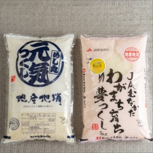 果物屋さんが選んだ米食べ比べ「夢つくし&元気つくし」5kg×2袋【011-0025】