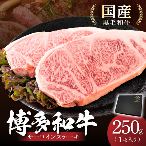 博多和牛サーロインステーキ　250g[250g×1枚]【014-0029】