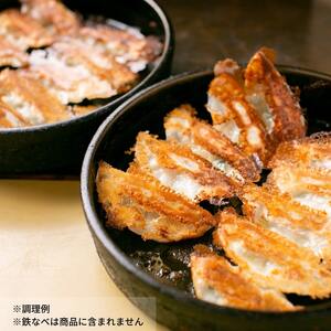 本店鉄なべ　冷凍ぎょうざ48個入り＋冷凍しそぎょうざ48個入り【040-0005】