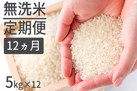 【定期便】1粒からこだわる1等級米 ヒノヒカリ 無洗米(5kg×12回）