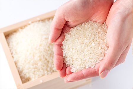 【定期便】1粒からこだわる1等級米 ヒノヒカリ 無洗米(10kg×12回）