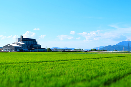 定期便】1粒からこだわる1等級米 夢つくし 白米(5kg×12回) | 福岡県