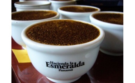 珈琲 世界最高峰の一つ ラ・エスメラルダ ゲイシャ 100g×2 Morrow珈琲  粉