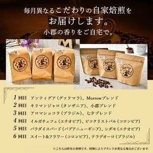 コーヒー豆 定期便 12ヶ月 自家焙煎 Morrow珈琲 2種 各100g セット 詰め合わせ レギュラーコーヒー 珈琲 コーヒー 珈琲豆 ドリップコーヒー ドリップ 自家焙煎珈琲 自家焙煎コーヒー 12回 1年 お楽しみ 福岡 福岡県 小郡市