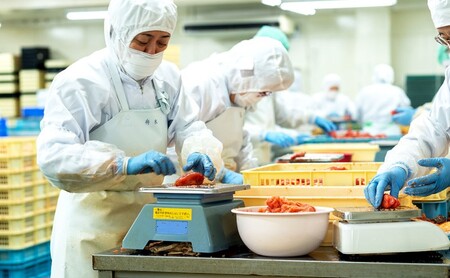 定期便 6ヶ月 明太子 さかえや 頑張れ小郡市！蔵出し明太子 ギフト 300g×毎月6回 叶え星文様 オリジナルタオル付 