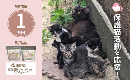 珈琲 さくらねこサポートOGORI 保護猫活動を応援！ コーヒー豆 100g×2袋 コーヒー 飲料 