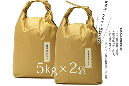 【定期便】特A 福岡県産 無洗米ひのひかり 10kg×6ヵ月