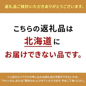 洋ラン シンビジウム (2本立て) アーチタイプ 草場農園 蘭 花 お花 ※配送不可：北海道