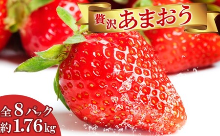 いちご 贅沢 あまおう 8パック 総重量 約1.7kg  果物 デザート 苺 イチゴ 果物 くだもの フルーツ 旬のフルーツ 季節のフルーツ 旬の果物 季節の果物 福岡 福岡県 小郡市