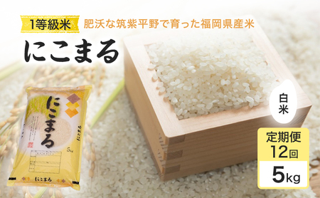 定期便 12回 米 1粒からこだわる1等級米 にこまる 白米(5kg×12回） お米 コメ お楽しみ 12ヶ月 令和7年度産