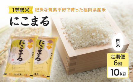 定期便 6回 米 1粒からこだわる1等級米 にこまる 白米(10kg×6回） お米 コメ お楽しみ 6ヶ月 令和7年度産