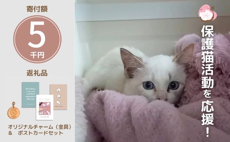 保護猫活動を応援！ ロゴチャーム(金具)&ポストカード×3枚  さくらねこサポートOGORI 雑貨 日用品 猫 保護猫