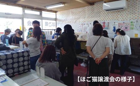 保護猫活動を応援！ ロゴチャーム(金具)&ポストカード×3枚  さくらねこサポートOGORI 雑貨 日用品 猫 保護猫