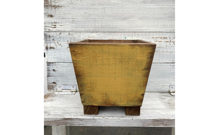 インテリア 植物 ガジュマル プランター 全2色 観葉植物 福岡 小郡市 白色