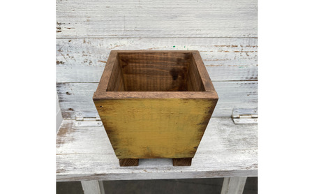 インテリア 植物 ガジュマル プランター 全2色 観葉植物 福岡 小郡市 黄色