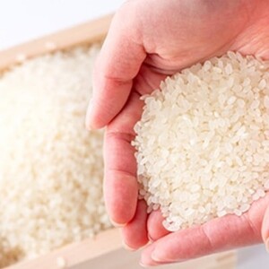 米 5kg れんげ栽培 恋華米 精米 コメ 白米
