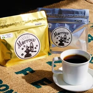 定期便 6ヶ月 黄金のバランス ブルーマウンテン (豆)【ポスト投函】 2種 各100g