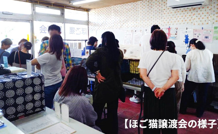 Tシャツ 猫の愛護活動を応援！白Tシャツ「パン捏ねデザイン」 Sサイズ