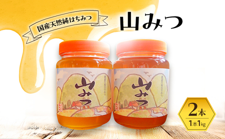 はちみつ 山みつ 1kg×2本 蜂蜜
