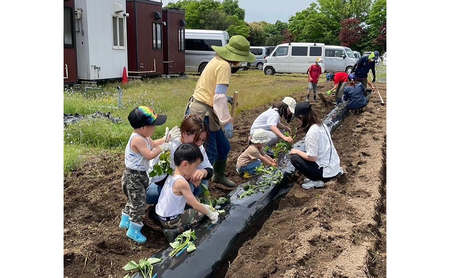 支援 子育て支援活動を応援！返礼品無し 1,000円 (お礼状送付)