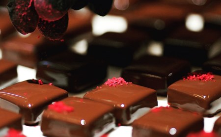 定期便 12ヶ月 チョコレート専門店のオリジナルボンボンショコラセット 18個入×12回配送 チョコレート 12回 お楽しみ