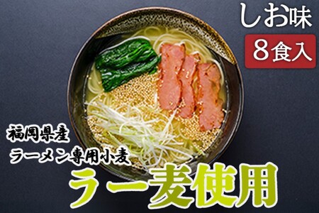 しお ラーメン 福岡県産 ラー麦使用 しおラーメン 8食入 塩 たなばたの里 7,800円