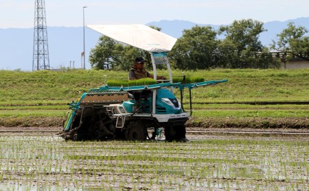 6ヵ月定期便】たごもり農園の自然米 ヒノヒカリ 5kg | 福岡県小郡市