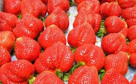 アイスクリーム あまおう 6個 セット ピミル・オルペミ 福岡特産 いちご 苺 イチゴ アイス デザート スイーツ 配送不可：沖縄、離島 