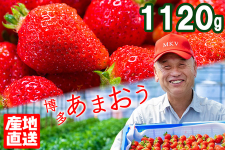 産地直送 減農薬栽培 あまおう 4パック(約280g×4)