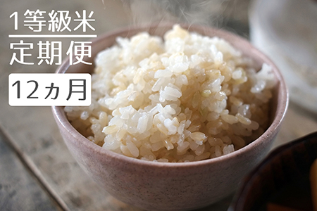 定期便】1粒からこだわる1等級米 にこまる 玄米(10kg×12回） | 福岡県