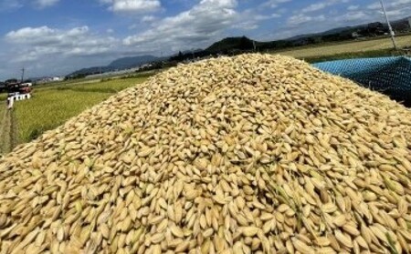 ふるさと納税 行徳農園の「ヒノヒカリ」　筑後小郡産　１０ｋｇ　農家直送 福岡県小郡市 定期便6ヶ月 米 5kg 令和6年度産米 ひのひかり 筑後小郡産 農家直送