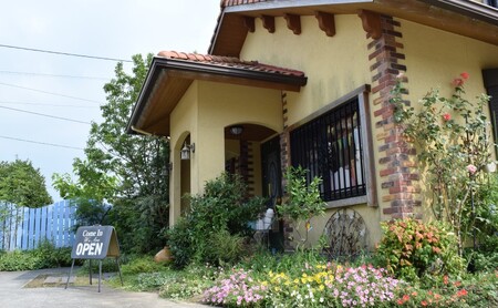 数量限定 国産 天然 純はちみつ 1kg もちの木プレミアム 《包装対応、手提げ袋付》 ハチミツ 蜂蜜 ギフト ハニーベル 