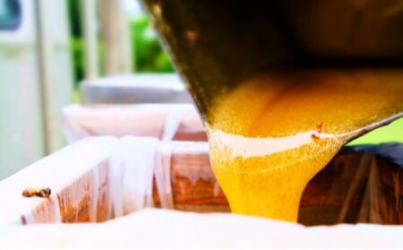 石鹸 国産 天然 純はちみつ 高濃度配合コスメ 生はちみつ石けん 2個 せっけん 美容 ハニーベル 