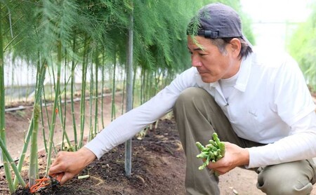 【先行予約】発送2025年4月 アスパラガス 小郡産 朝採りアスパラガス 500g (L、2Lサイズ混) 野菜 永利農園