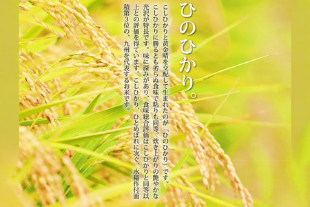 ふるさと納税 福岡県 小郡市 たごもり農園の自然米 ヒノヒカリ 2kg