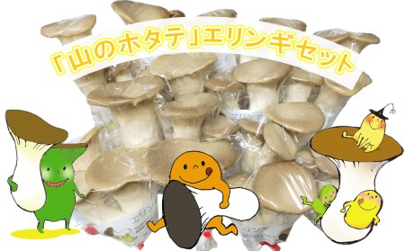 【産地直送】「山のホタテ」エリンギセット 1.7kg