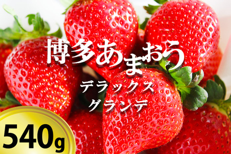 いちご の王様「博多あまおうデラックス＆グランデ」２パック【2月上