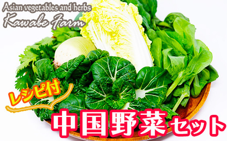 国産アジア野菜の川辺農園 季節の「中国野菜」セット【レシピ付】