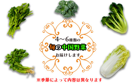 国産アジア野菜の川辺農園 季節の「中国野菜」セット【レシピ付】