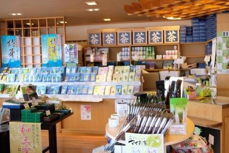 献茶園オリジナル深蒸し茶 特芽ゴールド 100g×3袋 | 福岡県小郡市