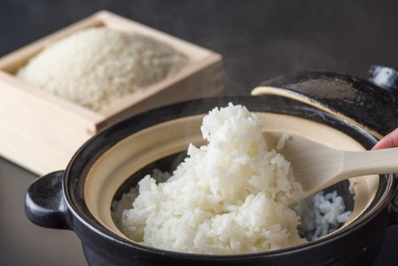 【定期便】1粒からこだわる1等級米 ヒノヒカリ 無洗米(10kg×6回）