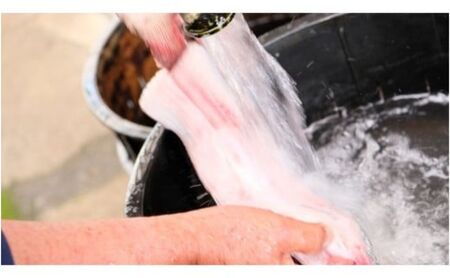 創業40年 全てが職人による手焼き うなぎの蒲焼き 1尾 鰻 