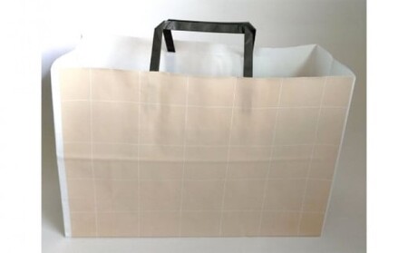 はちみつ 化粧箱入り 国産 天然 純はちみつ 370g×2本セット さくら＆もちのき ギフト 《包装対応、手提げ袋付》 